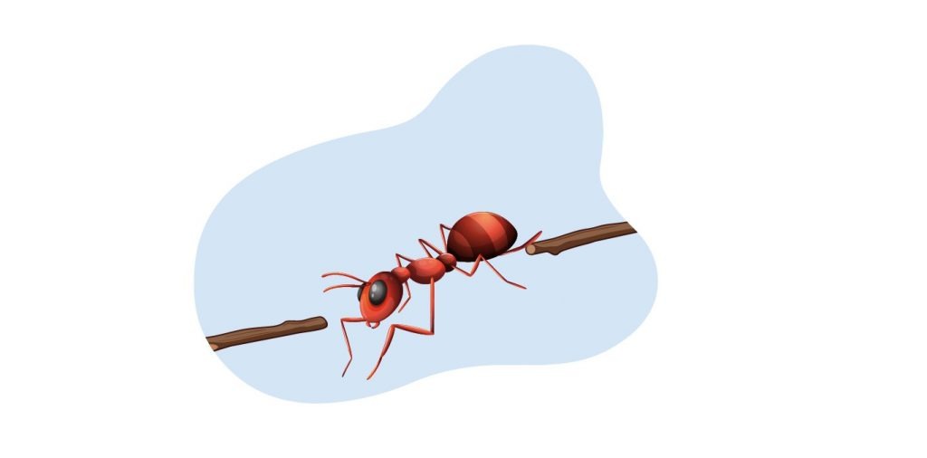 1612789943Ant IPO 1366X675 01